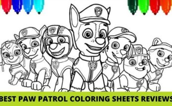 Best Paw Patrol Colouring Sheets & Pictures To Color Reviews
