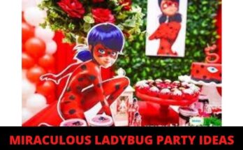 how to plan a miraculous ladybug party