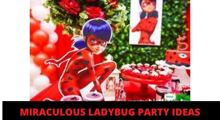how to plan a miraculous ladybug party